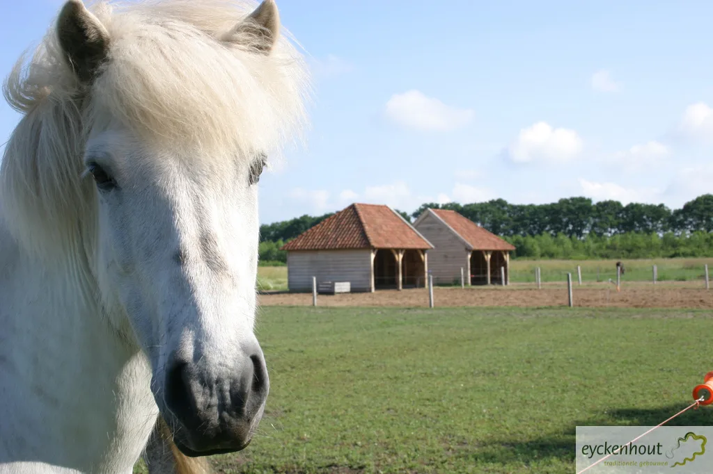 Schuilstal voor IJslandse pony’s op een landgoed