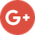 google icon