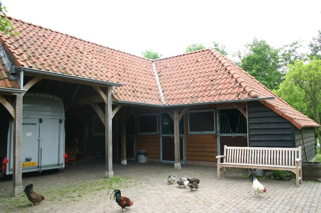 Eiken stalgebouw met drie boxen en carport