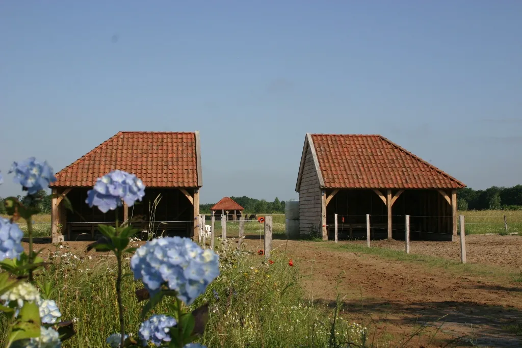 Open inloopstal voor IJslandse pony's