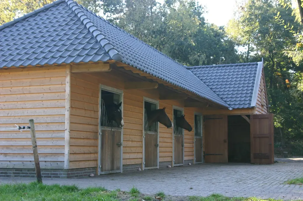 Stal met zadelkamer en eiken carport