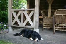 eiken tuinhuis met eiken balustrade