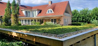 groen sedumdak op eiken terrasoverkapping
