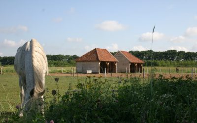 Eikenhouten bijgebouwen met stal en carport