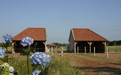 Eikenhouten bijgebouwen met stal en carport