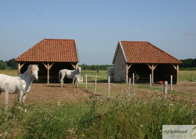 eiken-stal-ijslanders
