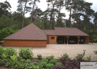 eikencarport-leiendak-garage
