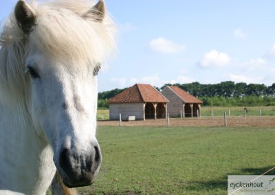 schuilstal-ijslanders-landgoed