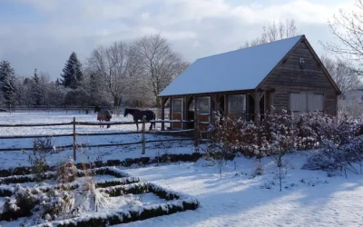 Eikenhouten bijgebouwen met stal en carport